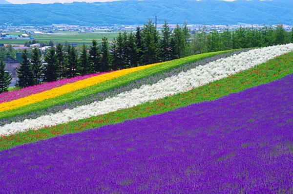 ふる郷荘furusato Furano Exterior photo